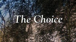 The Choice
