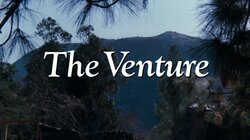 The Venture