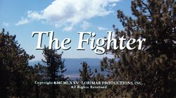 The Fighter