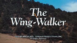 The Wing-Walker