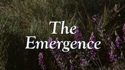 The Emergence