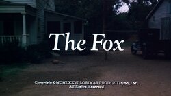 The Fox