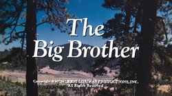 The Big Brother