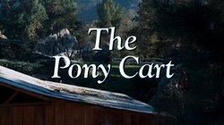 The Pony Cart