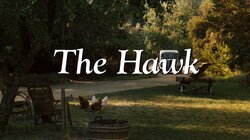 The Hawk