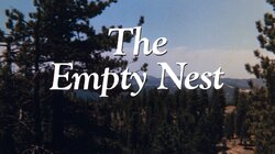 The Empty Nest