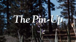The Pin-Up
