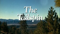 The Tailspin