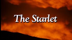 The Starlet