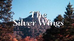 The Silver Wings