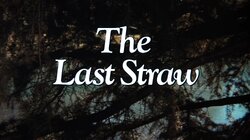 The Last Straw