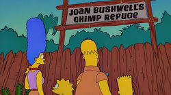 Simpsons Safari