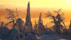 To the Ends of the Earth