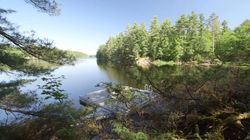 Lakefront Cabin Muskoka