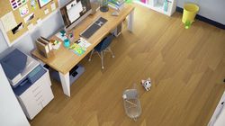 Chi Meets a Parakeet