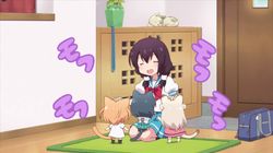 Me and My Kitties