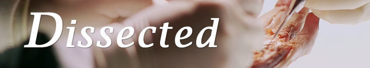 Dissected — кадр