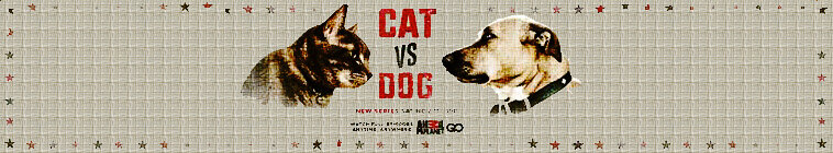 Cat vs. Dog — кадр