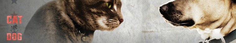 Cat vs. Dog — кадр