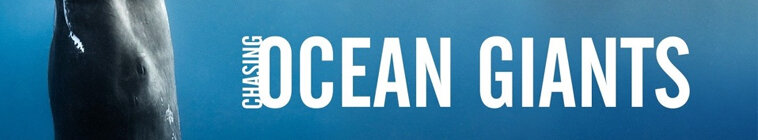 Chasing Ocean Giants — кадр
