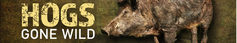 Hogs Gone Wild — кадр