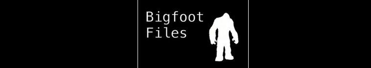 Bigfoot Files — кадр