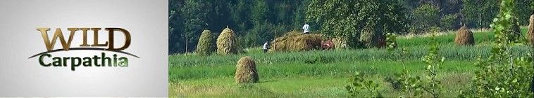 Wild Carpathia — кадр
