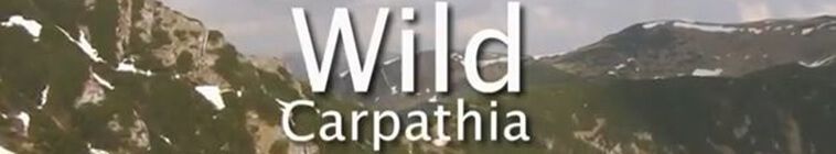 Wild Carpathia — кадр