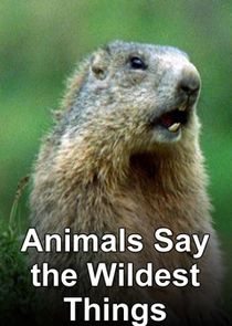 Animals Say the Wildest Things