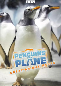 Penguins on a Plane: Great Animal Moves