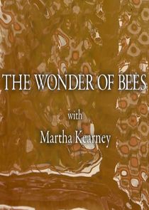 The Wonder of Bees with Martha Kearney