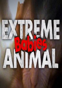 Extreme Animal Babies