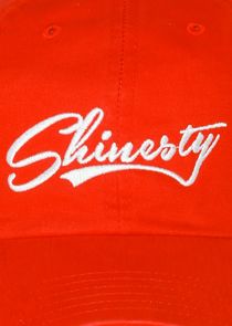 Shinesty small logo