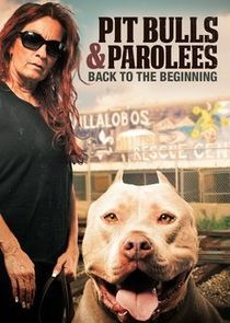 Pit Bulls & Parolees: Back to the Beginning small logo