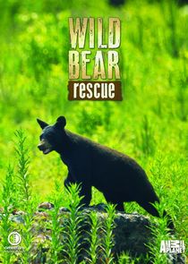 Wild Bear Rescue small logo