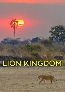 Lion Kingdom small logo
