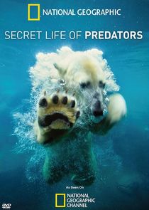 Secret Life of Predators poszter