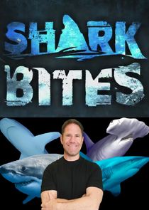 Shark Bites