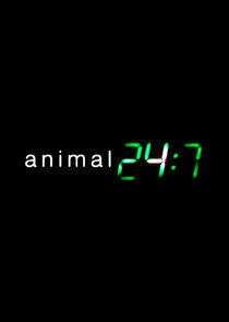 Animal 24:7