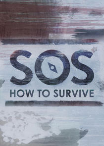 SOS: How to Survive small logo