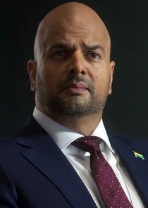 Ambassador Salimi