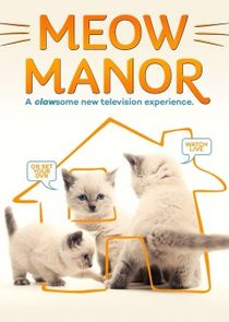 Meow Manor