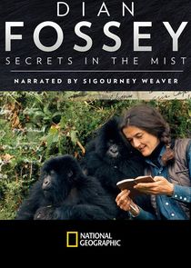 Dian Fossey: Secrets in the Mist