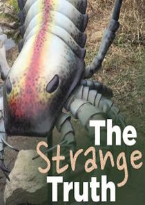 The Strange Truth — кадр