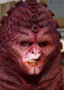 Voice of the Zygons