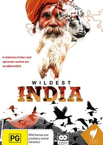 Wildest India