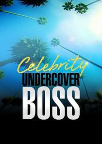 Undercover Boss: Celebrity Edition small logo