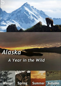 A Year in the Wild — кадр