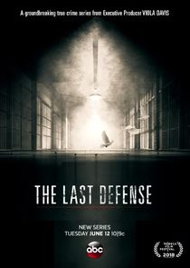 The Last Defense — кадр