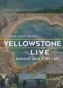 Yellowstone Live small logo